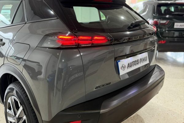 Peugeot 2008 - 5_4 (5)