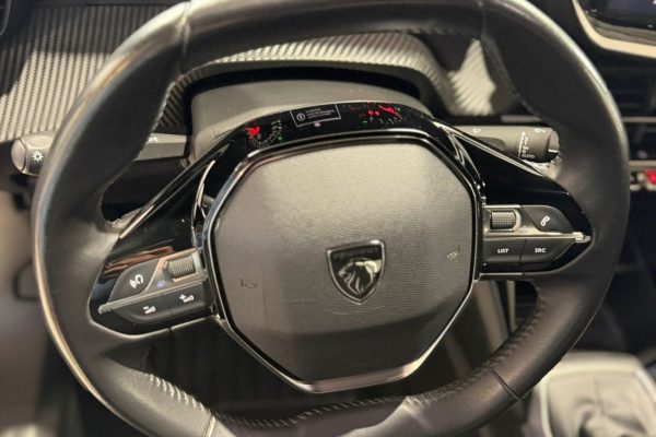 Peugeot 2008 - 5_4 (6)