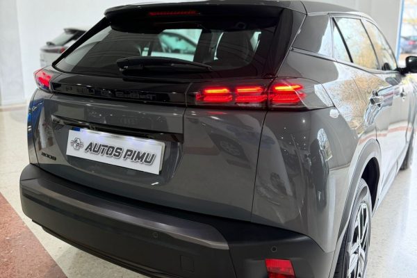 Peugeot 2008 - 5_4 (8)